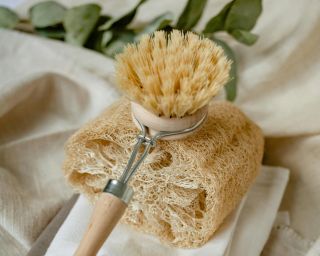 🧽🌿 Lufa – přírodní houba, kterou si můžete vypěstovat i sami! Lufa není jen exotická rostlina – je to taky skvělá, 100%...