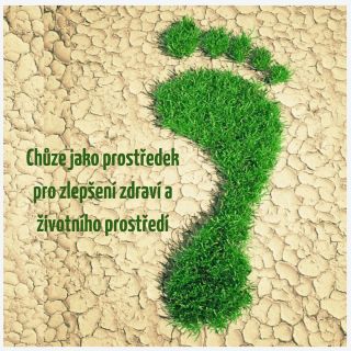 Chůze jako prostředek pro zlepšení zdraví a životního prostředí. Přečtěte si nový článek na blogu 🦶🌏...
