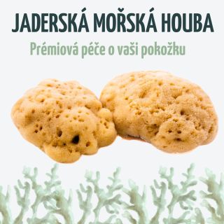 Mořská jaderská houba pro jemné čištění pokožky celého těla, ale i obličeje. Tato houba se vyznačuje svou velkou pevností,...